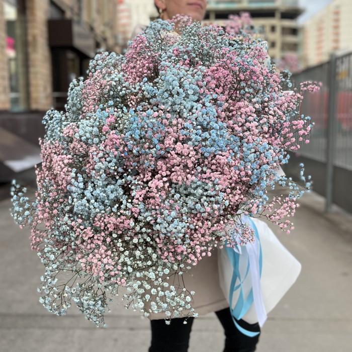 Букет на Гендр Патти  51 гипсофила